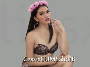 CassieCUMSalot18