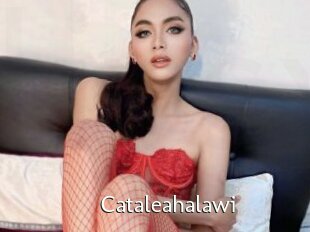 Cataleahalawi