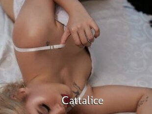 Cattalice