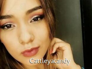 Cattleyacandy