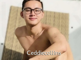 Ceddiecollins