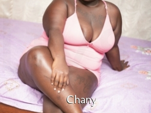 Chany