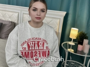 Chloebush