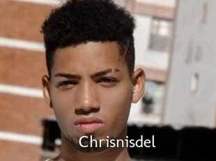 Chrisnisdel