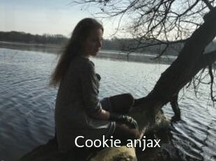 Cookie_anjax