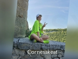 Cornesakeat
