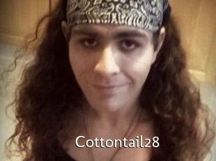 Cottontail28