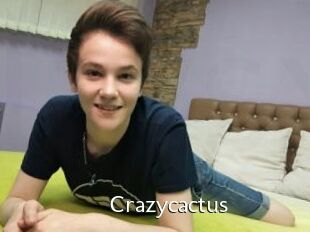 Crazycactus