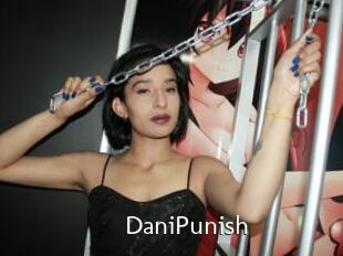 DaniPunish