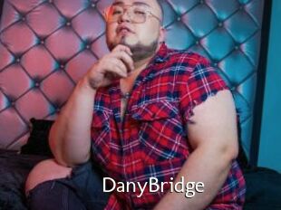 DanyBridge