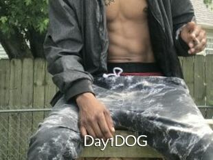 Day1DOG
