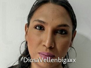 DiosaVellenbigaxx