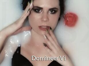 DomineerVi