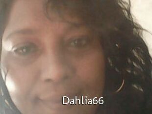 Dahlia66