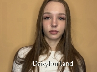 Daisyburland