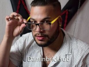 Daminbricksub