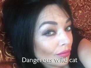 Dangerous_wild_cat
