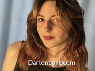 Darlenegriscom