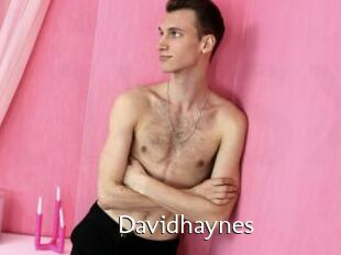 Davidhaynes