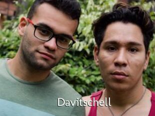 Davitschell