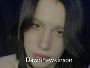 Dawnhawkinson