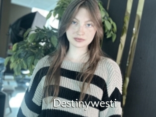 Destinywesti
