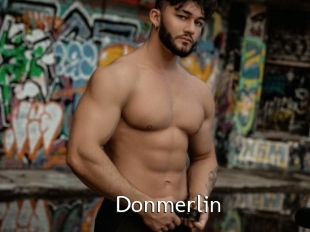 Donmerlin