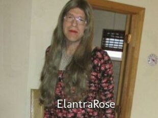 Elantra_Rose