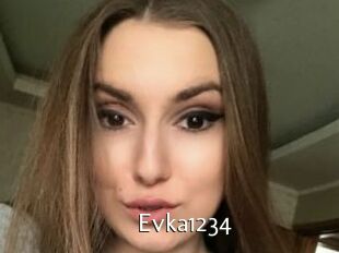 Evka1234