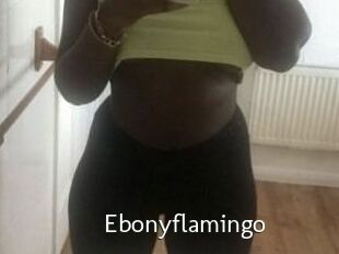 Ebony_flamingo