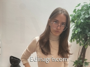 Edinagriscom