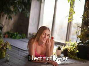 Electricflower