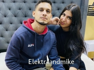 Elektraandmike