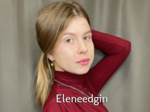 Eleneedgin