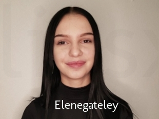 Elenegateley