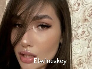 Elwineakey