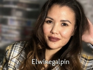 Elwinegalpin