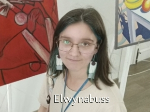Elwynabuss