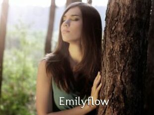 Emilyflow