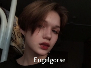 Engelgorse