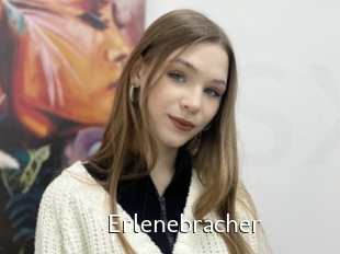 Erlenebracher