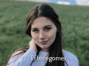 Erlenegomer