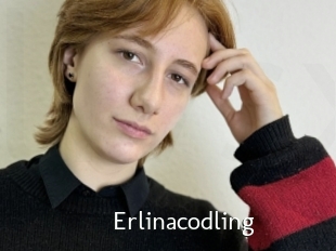 Erlinacodling