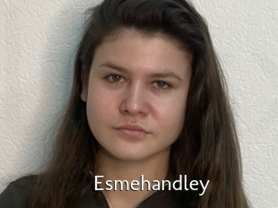 Esmehandley