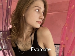 Evamate