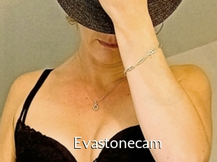Evastonecam