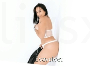 Evavelvet