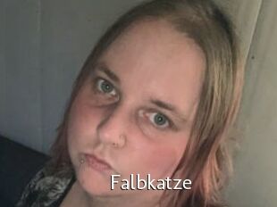 Falbkatze