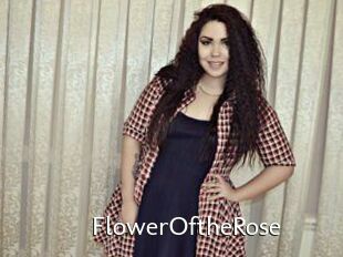 FlowerOftheRose