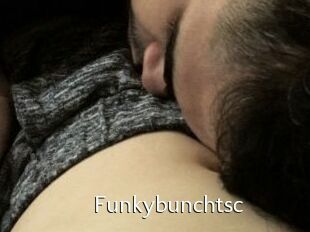 Funkybunchtsc